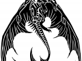 dragon_tribal_commission___anamiko_by_sunimo-d511058.png